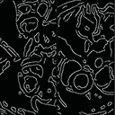 COT Flow image-to-image translation.